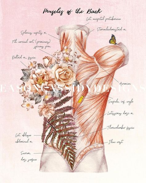 Massage Wallpaper, Home Massage Room, Massage Art, Floral Anatomy, Massage Therapy Quotes, Massage Room Design, Hata Yoga, Massage Room Decor, Massage Therapy Rooms