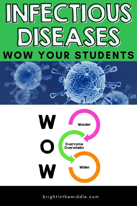 Bacteria And Viruses Activities, Infectious Diseases, Health Activities For Middle School, Health Science Projects, Germs Lessons, Middle School Health, Medical Projects, High School Project, High School Lesson Plans