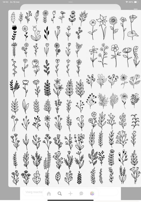 Different Flower Doodles, Simple Flower Pattern Illustration, Botanical Doodles Flower, Doodle Fillers Ideas, How To Draw Plants Easy, Simple Plant Sketch, Aesthetic Plant Doodles, Plants Doodle Art, Simple Plant Illustration