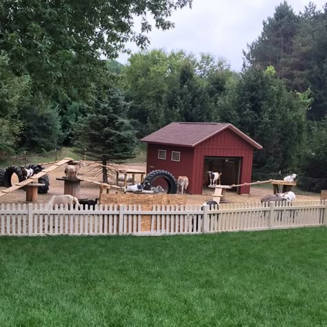 Goat Pen Aesthetic, Cute Goat Enclosures, Mini Farm Ideas Animals, Farm Animal Pen Ideas, Goats Farm Ideas, Petting Zoo Farm Ideas, Cute Goat House, Fun Goat Pen Ideas, Small Backyard Farm Ideas