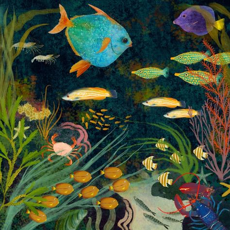 Some more underwater worlds for @jehane_ltd Out of the Blue release... #fish #underwater #oceanlife #coralreef #reef #sealife #reeffish #illustration Katherine Quinn Illustration, Underwater Illustration Art, Reef Illustration, Underwater Illustration, Fish Underwater, Out Of The Blue, Sealife, Underwater World, Ocean Life