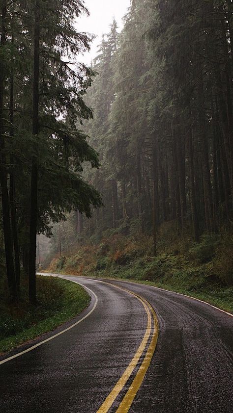 Muka Lelaki, Dark Naturalism, Dark Forest Aesthetic, Rainy Day Aesthetic, Image Nature, Dark Nature Aesthetic, Forest Road, Landscape Photography Nature, Pretty Landscapes