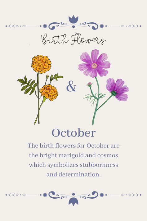 Birth Flower Of October, Oct Flower Tattoo, Flower For October Birth Tattoo, Marigold Tattoo Meaning, Cosmo Marigold Flower Tattoo, Flowers And What They Symbolize, Birth Month Flower October, October November Birth Flower Tattoo, October Flower Tattoo Cosmos