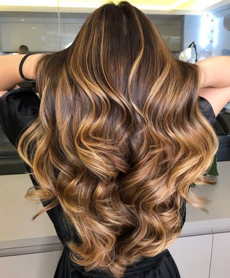 Bronze Hair Color, Light Golden Brown Hair, Medium Brunette Hair, Golden Brown Hair Color, Honey Hair Color, Golden Brown Hair, Brown Hair Shades, Dark Brunette Hair, Bronze Hair