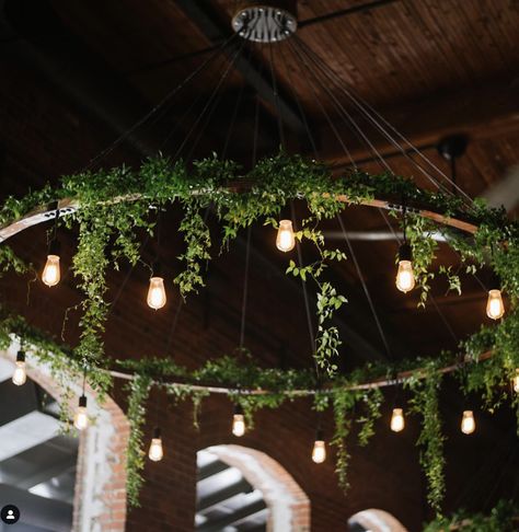 Plant Ceiling Decor, Moss Ceiling, Plant Chandelier, Cob House Plans, Industrial Decor Living Room, Luminaria Diy, Celing Light, Circle Chandelier, Rustic Home Design