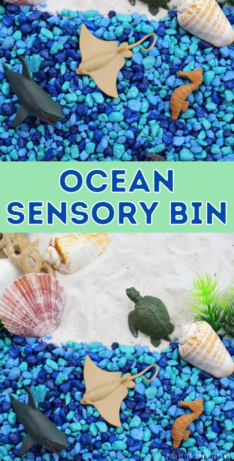 Sensory Bin Ocean, Ocean Activities For Toddlers, Ocean Crafts Preschool, Sunshine Classroom, Ocean Sensory Bin, Ocean Animals Preschool, Ocean Activities Preschool, Ocean Sensory, Sensory Activities For Preschoolers