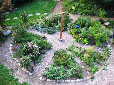 Medicine Wheel Garden, Wheel Garden, Medicine Garden, Herb Plants, Medicinal Herbs Garden, Herb Garden Design, Healing Garden, Medicinal Herb, Witch Garden