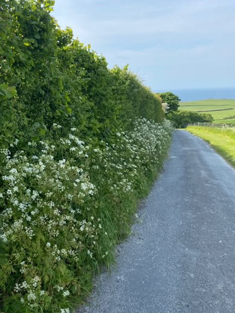 English Family Aesthetic, English Countryside Aesthetic Summer, British Spring Aesthetic, British Summer Time, Summer In The Countryside, Summer In England Aesthetic, British Core Aesthetic, British Beach Aesthetic, Summer In The Uk