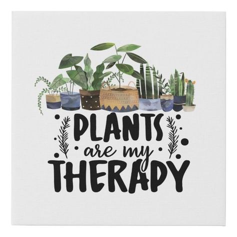 🌿 Plants Are My Therapy! 🌿 There’s something incredibly calming about surrounding yourself with greenery. Whether it’s the joy of watching new leaves unfurl or the simple act of watering, plants provide a soothing escape from the hustle and bustle of daily life. 🌱✨ These leafy companions not only beautify your space but also bring a sense of peace and tranquility. They’re more than just decor—they’re a form of therapy. 🪴💚 What plants are currently helping you unwind and find your zen? Shar... Tattoo Plant, Indoor Oasis, Plants Quotes, Therapy Quotes, Plant Care Houseplant, Plant Care Tips, Potted Houseplants, Plant Therapy, All Things Green