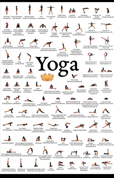 Poses For 2 People, Gratitude Yoga, Yoga Poses Chart, 2 People Yoga Poses, Hata Yoga, Yoga Poses For 2, Yoga Poses For Two, Yoga Poses Names, Poses For Beginners