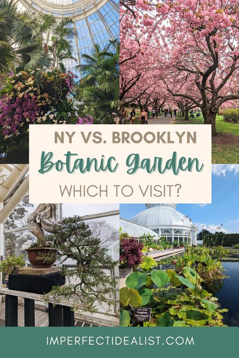 NYC has two main botanical gardens, one in the Bronx (New York Botanical Garden), and one in Brooklyn. I’ve visited both, and while both were beautiful in their own ways, I definitely have a preference. If you only have time to visit one, this guide will go over the main differences between the two gardens and help you make a decision. Botanical Gardens New York, Ny Botanical Gardens, New York Garden, Brooklyn Botanical Garden, Brooklyn Botanic Garden, The Bronx New York, New York Botanical Garden, New York Vacation, Bronx New York