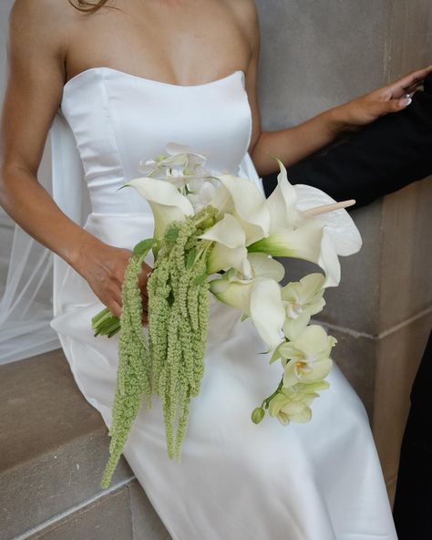 a flouncy, bouncy modern bouquet 😌 for a stunning couple’s city hall wedding! Photographer: @elizabethpishalphoto . . . . San Francisco Florist | Bridal bouquet | City hall wedding #underthefloralspell #sfflorist #flowerphotography #floralinspiration #bridalbouquet #myfloraldays #floralstyling #inspiredbynature #pursuepretty #floralstories #botanicalpickmeup #flowerpower #moodforfloral #allthingsbotanical #flowersmakemehappy #justbefloral #bayareaflorist #flowermagic #freakebana #tropica... Droopy Bridal Bouquet, Deep Green Wedding Flowers, Organic Bridesmaid Bouquet, Draped Wedding Bouquet, Small Modern Bridal Bouquet, Organic Bouquet Wedding, Snapdragon Bridesmaid Bouquet, Unique White Flowers, White Green And Gold Bridal Bouquet