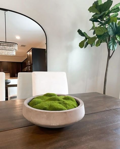 Moss bowl Moss In A Bowl, Moss Bowl Decor, Moss Garden Indoor, Moss Bowl Centerpiece Diy, Moss Centerpieces Diy, Plants As Centerpieces, Home Plants Decor, Moss Bowl Centerpiece, Plant Garden Ideas