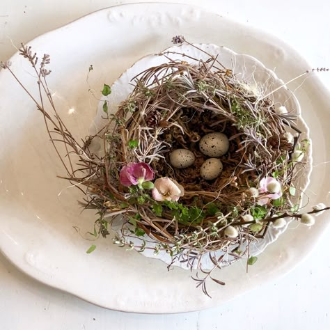 Birds Nest Decor Ideas, Birds Nest Decor, Bird Nest Ideas For Garden, Diy Bird Nest Decor, Bird Nest Craft Diy, Diy Bird Craft, Birds Nest Craft, Diy Birds Nest, Diy Bird Nest