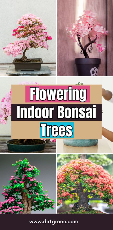 The first step in cultivating a flowering indoor bonsai tree is choosing the right species. Some popular choices include the Fukien Tea, Azalea, and Serissa. These species are known for their beautiful flowers and suitability for indoor conditions. When choosing a tree, consider factors such as the tree’s light, temperature, and humidity requirements, as well as your ability to meet these needs. Gardenia Bonsai Tree, Bonsai Shapes, Bonsai Tree For Beginners, Fukien Tea Bonsai, Bonsai Azalea, Buy Bonsai Tree, Flowering Bonsai, Diy Bonsai, Flowering Bonsai Tree