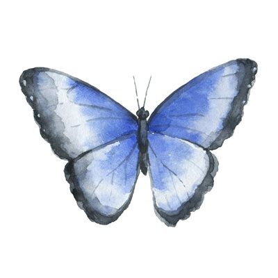 Handcrafted in the USA Easy to hang; hardware included UV & fade-resistant archival inks Patented warp-resistant construction with solid matboard backing Canvas options have artist quality canvas August Grove® Size: 12" H x 12" W | August Grove® Watercolor Butterfly by - Wrapped Canvas Painting 12.0 H x 12.0 W x 1.25 D in / indigoCanvas in Blue | 12" H x 12" W | Wayfair | Home Decor Butterfly Painting Easy, Watercolor Butterfly, Minimalist Landscape, Canvas Home Decor, Butterfly Painting, Butterfly Watercolor, Blue Painting, Easy Watercolor, Abstract Nature