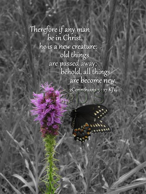 Kjv Scripture, Small Photo Albums, Bible Words Images, Scripture Pictures, Kjv Bible, Floral Photography, Bible Truth, Biblical Quotes, Bible Quotes Prayer