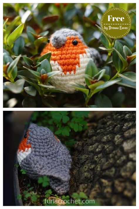 6 Robin Bird Amigurumi Crochet Patterns - Page 2 of 2 English Robin, Crochet Robin, Bird Amigurumi, Crochet Bird, Crochet Bird Patterns, Crochet Cape, Confection Au Crochet, Bird Free, Crochet Birds