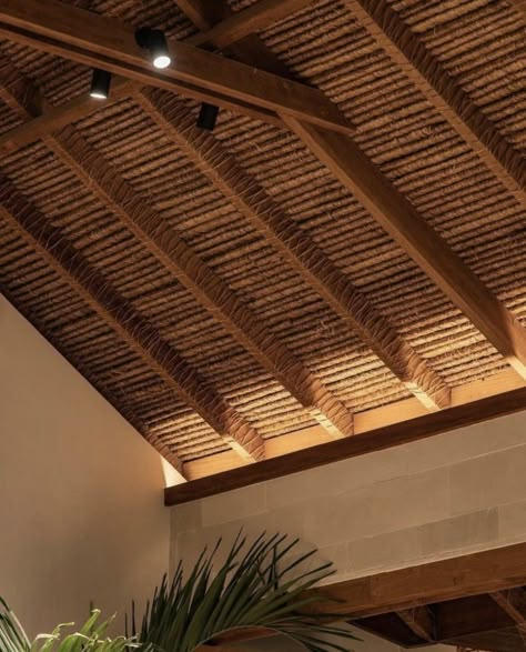 Bamboo Roof, Bamboo Ceiling, Tropical Interior, Rooftop Terrace Design, Florida Room, Wood Roof, Terrace Design, Home Building Design, Ceiling Design