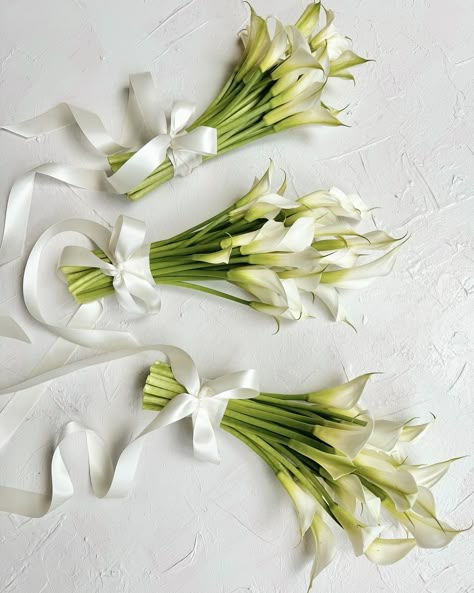 Simple, modern, white, trailing ribbons. Nothing better 👌🏼 Single Flower Bridal Bouquet, Single Stem Bridal Bouquet, Bridal Party Flowers Wedding Bouquets, Long Ribbon Bouquet, White Ribbon Bouquet, Modern White Flowers Wedding, Modern Bridal Bouquet Simple, Simple White Bridal Bouquet, Simple White Wedding Flowers