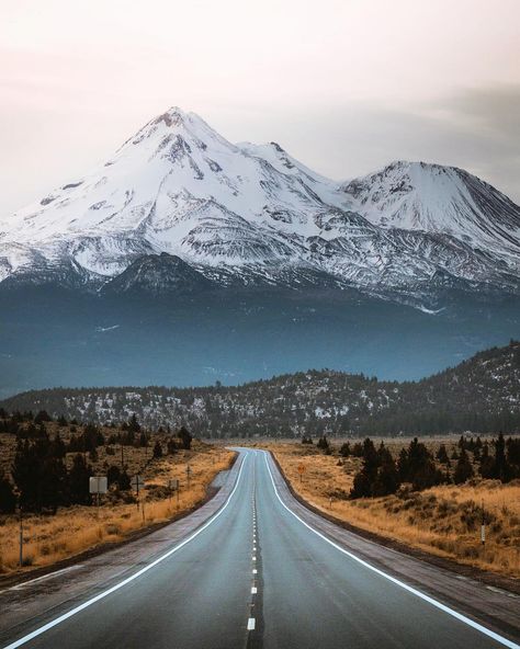 RYAN RESATKA on Instagram: “Giant volcano highway vibes 🌋 glad to be back California for the week. It’s been awhile” Mount Shasta California, Shasta California, Mountain Roads, Road Trip Photography, Mt Shasta, Mount Shasta, California Photos, Scenic Roads, Google Search Console