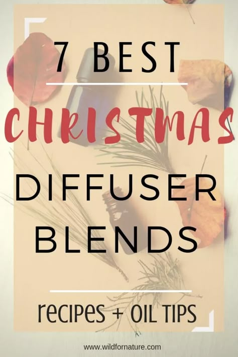 Christmas Tree Essential Oil Blend, Essential Oil Christmas Blend, Christmas Diffuser Recipes, Winter Essential Oil Blends, Reed Diffuser Recipe, Christmas Tree Essential Oil, Essential Oil Blends For Diffuser, Oil Blends For Diffuser, Perfume With Essential Oils