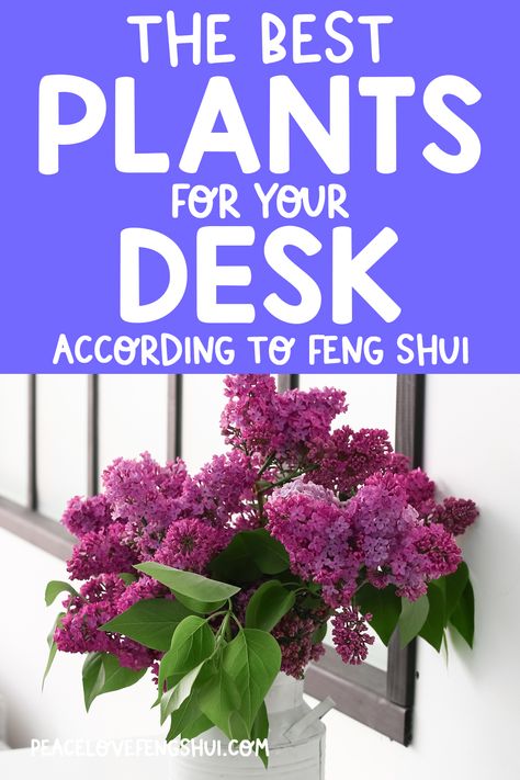 Feng Shui Office Decor, Feng Shui Office Layout With Window, Feng Shui Cubicle, Calm Office Space Ideas, Feng Shui Study Room, Feng Shui Work Desk, Feng Shui Desk Placement, Office Plants Ideas Interior Design, Feng Shui Office Layout