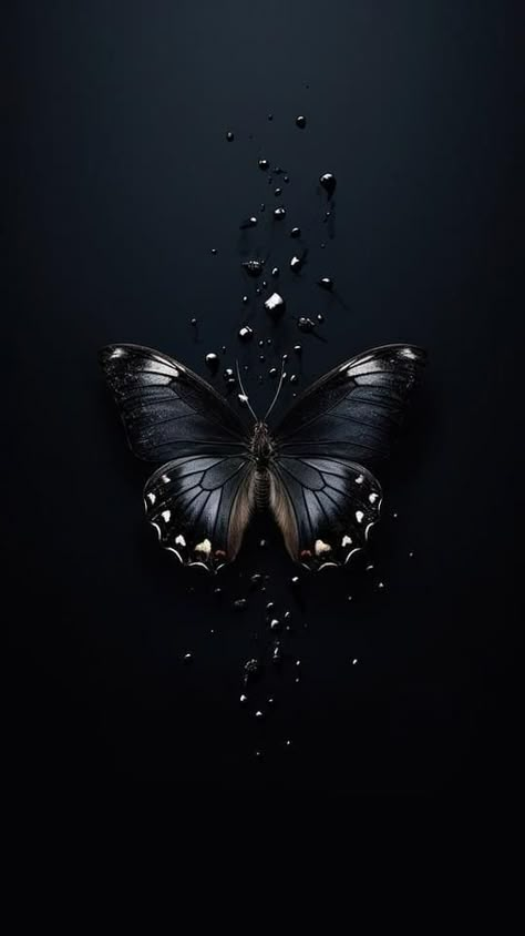 Wallpaper Backgrounds In Black, Black Designs Wallpaper, Butterfly Wallpaper Black Background, Black Butterfly Wallpaper Iphone, Black Image Background, Beautiful Dark Wallpaper, Butterfly Wallpaper Black, Wallpaper Black Butterfly, Cute Wallpaper Backgrounds Iphone