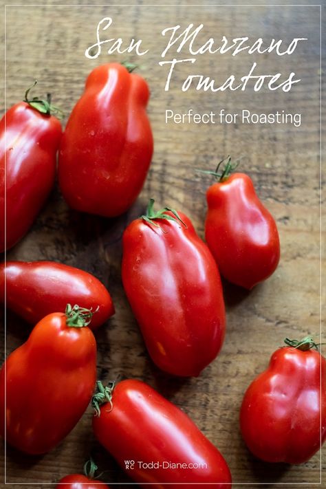 San Marzano Tomatoes Recipes, Heirloom Tomato Recipes, San Marzano Tomato Sauce, Tomato Sauces, Marzano Tomatoes, Tips For Growing Tomatoes, Tomato Recipe, Roasted Tomato Sauce, Easy Tomato Sauce