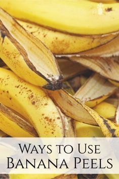 Banana Peel Uses Banana Fertilizer, Banana Peel Fertilizer, Propagate Lavender, Planting Veggies, Banana Peel Uses, Banana Peels, Preserving Herbs, Healthy Meal Recipes, Banana Benefits