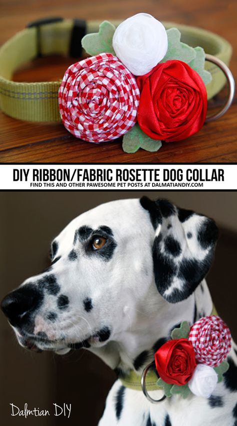 Diy Dog Collar Bow, How To Make Dog Collar Flowers, Dog Ribbon Collar, Flower For Dog Collar Diy, Dog Collar Decorations, Diy Fabric Flower For Dog Collar, Flowers For Dog Collars Diy, Dog Collar Accessories Diy, Dog Collar Flower Diy