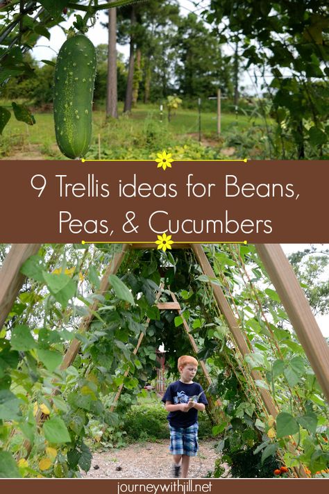 These 9 Trellis Ideas for Beans, Peas, & Cucumbers are completely doable even for a beginner! While some ideas may require two people, many you can do by yourself to grow your garden vertically!  #verticalgardening #gardentrellis #beantrellis Bean Trellis, Vegetable Trellis, Vertical Container Gardening, Bean Garden, Pea Trellis, Growing Beans, Cucumber Trellis, Diy Garden Trellis, Trellis Ideas