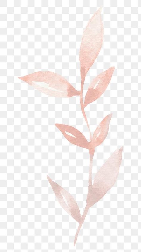 Png Rose, Leaf Png, Gold Png, Leaves Png, Eid Crafts, Rose Gold Leaf, Sticker Transparent, Floral Leaves, About Rose