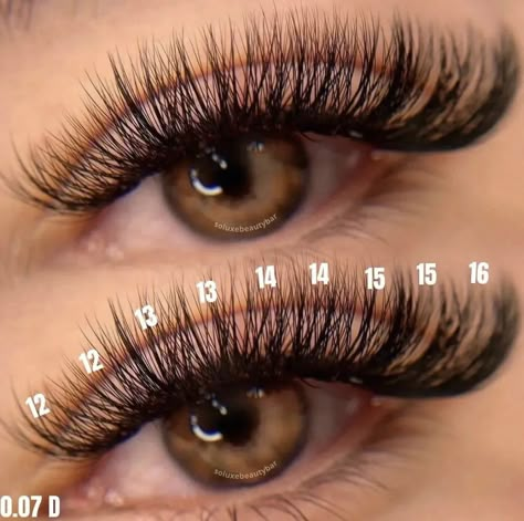 Long Cat Eye Lash Extensions Map, Lash Extension Numbers, 0.07 D Curl Lash Extensions, Cat Eye Lash Map D Curl, Lashes Extensions With Numbers, Eyelash Extensions Numbers, Lashes With Numbers, Lashes Numbers, Lash Extensions With Numbers