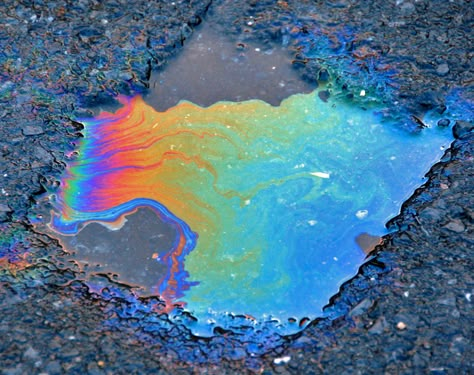 Oil Slick” is the Coolest New Way to Add Fun Color to Dark ... Oil Slick Hair, Holographic Hair, Aesthetics Tumblr, Oil Spill, Rainbow Aesthetic, Oil Slick, Black Bird, Amazing Photography, Aesthetic Pictures