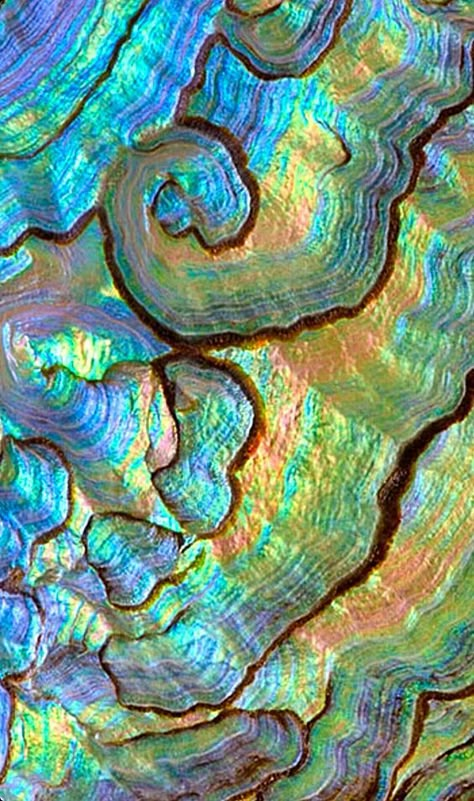 Iridescent Aesthetic, Fabric Art Ideas, Metallic Rainbow, Oil Slick, Ethereal Art, Patterns In Nature, Abalone Shell, Fabric Art, Textures Patterns