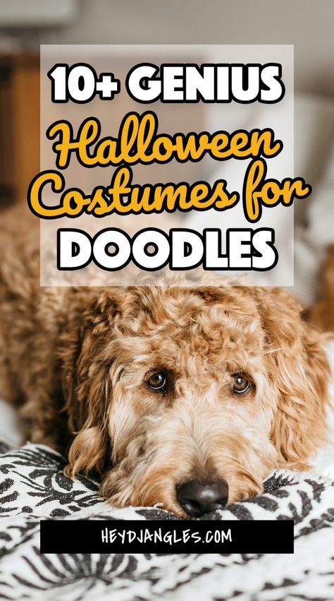 10+ Genius Halloween Costumes for Goldendoodles - Hey, Djangles. Goldendoodle Costume, Genius Halloween Costumes, Goldendoodle Halloween, Dog Costumes For Kids, Diy Pet Costumes, Ewok Costume, Best Dog Halloween Costumes, Puppy Halloween Costumes, Goldendoodle Haircuts