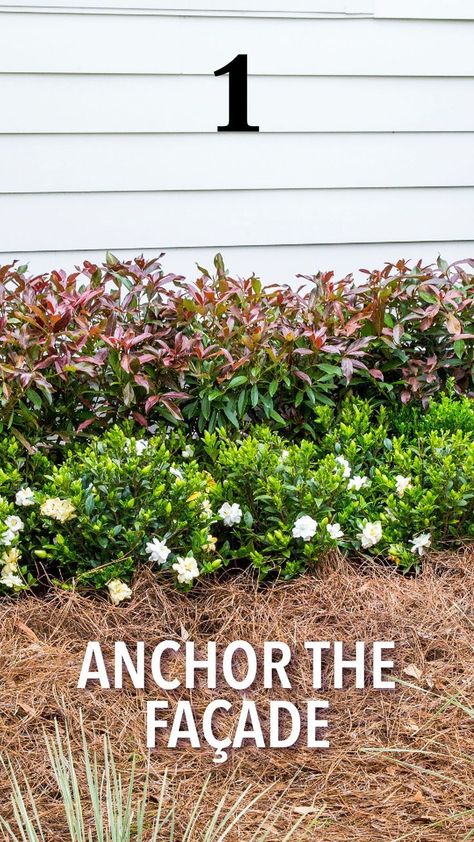 Simple Foundation Landscaping, Foundation Planting Plans, Foundation Planting Ideas Front Yards, Low Maintenance Landscape Ideas Front Yard, Ranch Landscaping Ideas Front Yard, Ranch Landscaping Ideas, Landscaping Design Plans, Foundation Landscaping, Colonial Landscaping