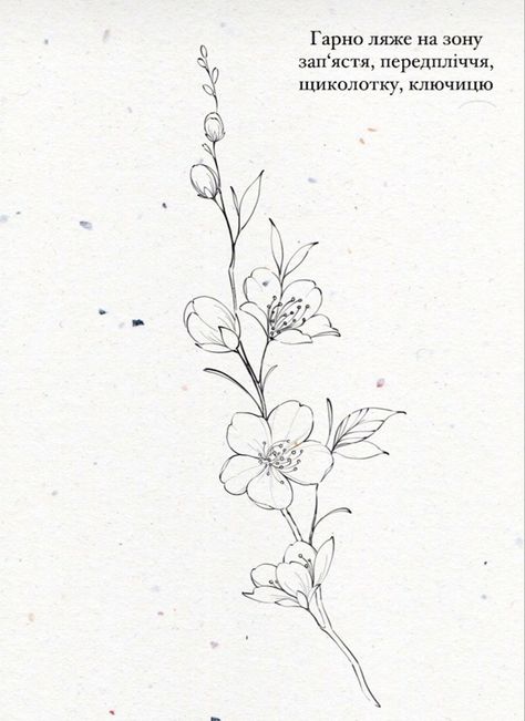 Sakura Branch Drawing, Azalea Tattoo Design, Cherry Blossom Fine Line Tattoo, Cherry Blossom Hip Tattoo, Sakura Flowers Tattoo, Simple Cherry Blossom Tattoo, Sakura Flower Drawing, Sakura Tattoo Design, Sakura Flower Illustration