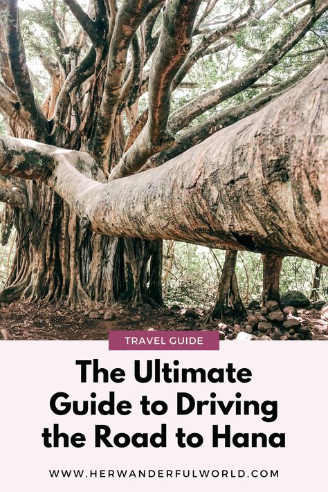 The road to Hana is a 65 mile stretch of road in Maui and it is full of lush greenery, seascapes, and waterfalls! The drive is unbelievable, but it can also be treacherous! With this guide, you will feel confident to drive the Road to Hana and have a wonderful time! Usa Travel Map, Travel Destinations Photography, Haleakala National Park, Trip To Maui, West Maui, Road To Hana, Travel Bucket List Usa, How To Drive, Usa Beaches