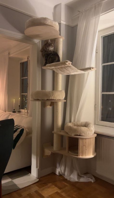 Natural Paradise Wall Scratching Tree - Magnolia Wall Furniture For Cats, Cat Items Aesthetic, Living Room Ideas With Cats, House With Cats Living Rooms, Japandi Cat Tree, Cat Tree On Wall, Cat Sanctuary Ideas Indoor, Catification Apartment, Cat Area In Bedroom