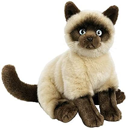 Webkinz Signature, Webkinz Stuffed Animals, African Wild Dog, Animal Room, Virtual Pet, Fun Games For Kids, Wild Dogs, Labradoodle, Siamese Cats