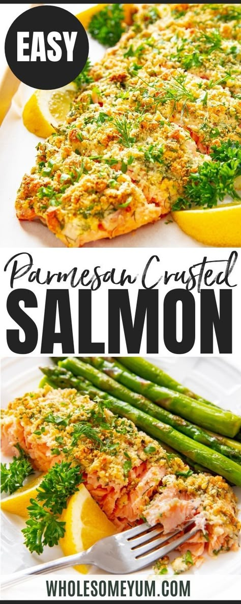 Baked Salmon Parmesan, Parmesan Salmon Recipes, Lemon Parmesan Salmon, Baked Crusted Salmon, Parmasean Crusted Salmon Recipes, Garlic Parm Salmon, Park Crusted Salmon, Lemon Crusted Salmon, Garlic Parmesan Crusted Salmon