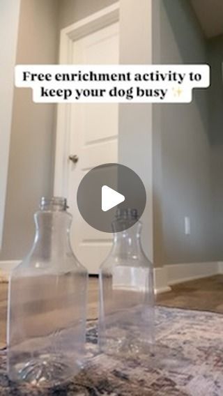 bodhi + kora on Instagram: "Save this enrichment idea to try later! ✨  This one is SO easy, and it gave my dogs a fun activity that tired them out!  Make sure you are always supervising your dog during these activities!  Follow @bodhi.and.kora for more tips!  #canineenrichment #dogtips #dogenrichmentideas #puppytips #puppytricks #hyperdog #dog #doghacks #dogparents" Dog Enrichment Diy, Enrichment Activities For Dogs, Diy Dog Enrichment Toys, Mental Stimulation For Dogs Diy, Puppy Enrichment Ideas, Dog Enrichment Ideas Diy, Dog Enrichment Ideas, Dog Boredom Buster, Canine Enrichment