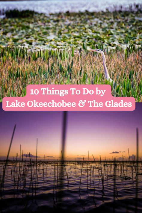 Known as the gateway to the Everglades, this South Florida Hidden gem lends agricultural heritage with natural wonders, offering a variety of experiences for visitors to explore. Here are ten things to do in the Glades and around Lake Okeechobee.🌿 🛶 #ThePalmBeaches #oldflorida #southflorida Lake Okeechobee Florida, Okeechobee Florida, Florida Vacation Spots, Florida Everglades, Everglades Florida, The Everglades, Old Florida, South Bay, Florida Vacation