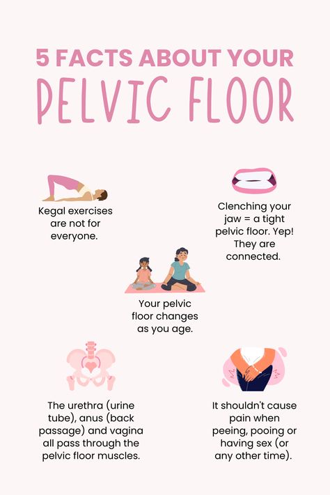 Your pelvic floor muscles have a big job to do. They support the pelvic organs, they help create inner stability for movement, they manage pressures coming from above, they have to open to allow a baby to pass through, they house sphincters that control bowel and bladder function, and they make s*x feel really great! #pelvicfloorhealth #pelvicfloordysfunction #pelvicfloor #pelvicfloor #pelvichealth #pregnancy #womenshealth #pelvicpain #physiotherapy #womensphysio #womenshealthphysio Opening Pelvic Floor, Pelvic Floor Exercises For Prolapse Bladder, Pelvic Floor Benefits, Pelvic Floor Diagram, Pelvic Health Physical Therapy, Yoga For Pelvic Floor For Women, Pelvic Floor Physiotherapy, Pelvic Floor Health, Relaxing Pelvic Floor Muscles