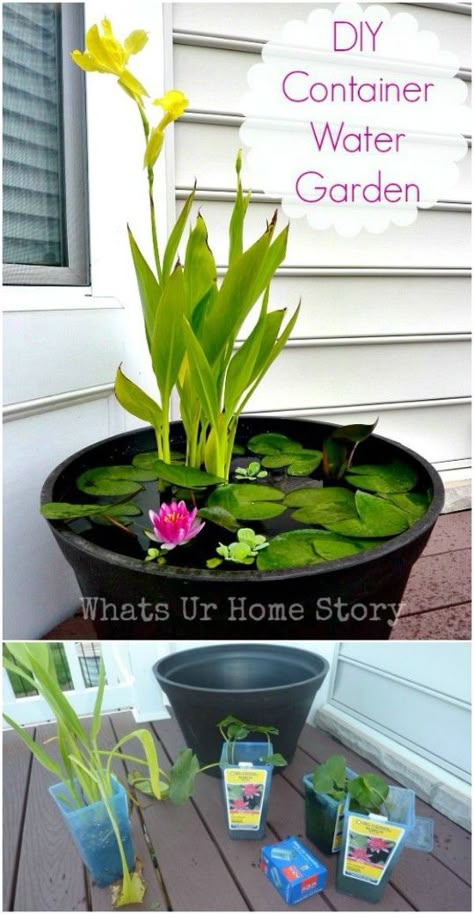 Easy DIY Container Garden Tanaman Air, Diy Container, Mini Pond, Container Water Gardens, Taman Air, Backyard Pond, Pond Ideas, Diy Water, Secret Gardens