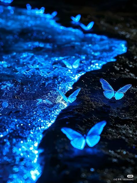 Sapphire Core Aesthetic, Dark Blue Aesthetic Butterfly, Blue Morpho Butterfly Aesthetic, Dark Blue Butterfly Aesthetic, Sapphire Aesthetic Wallpaper, Blue Shadow Aesthetic, Dark Blue Butterfly Wallpaper Aesthetic, Blue Pictures Aesthetic, Blue Crystals Aesthetic