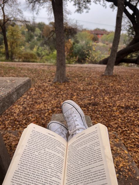 Reading in the park during fall Fall Reading Aesthetic, Reading In The Park, October Celebrations, Autumn Reading, November Reading, Reading Pictures, Spring Reading, Reading Motivation, Fall Mood Board