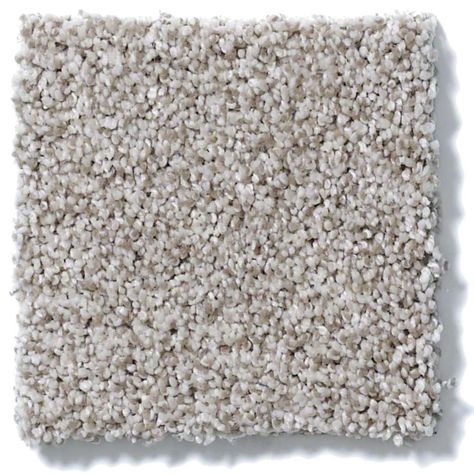 Carpet For Family Room, Greige Carpet, New Carpet Ideas, Bedroom Carpet Colors, Bedroom Paint Colours, Round Carpet Living Room, Carpets Design, Carpet Store, Kitchen Carpet Runner